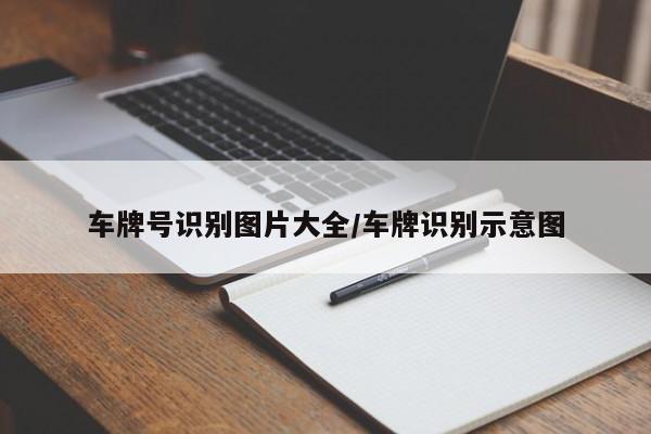 车牌号识别图片大全/车牌识别示意图